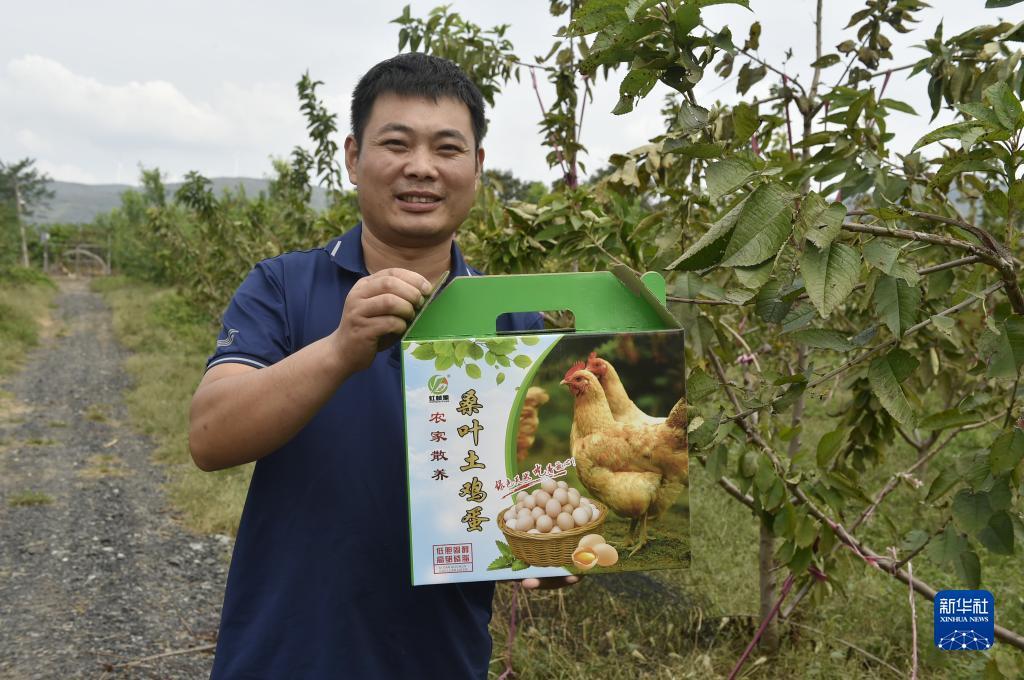 吉祥娱乐莉莉